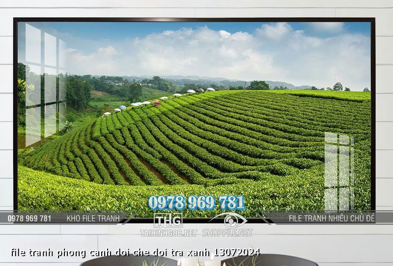 file tranh phong canh doi che doi tra xanh 13072024
