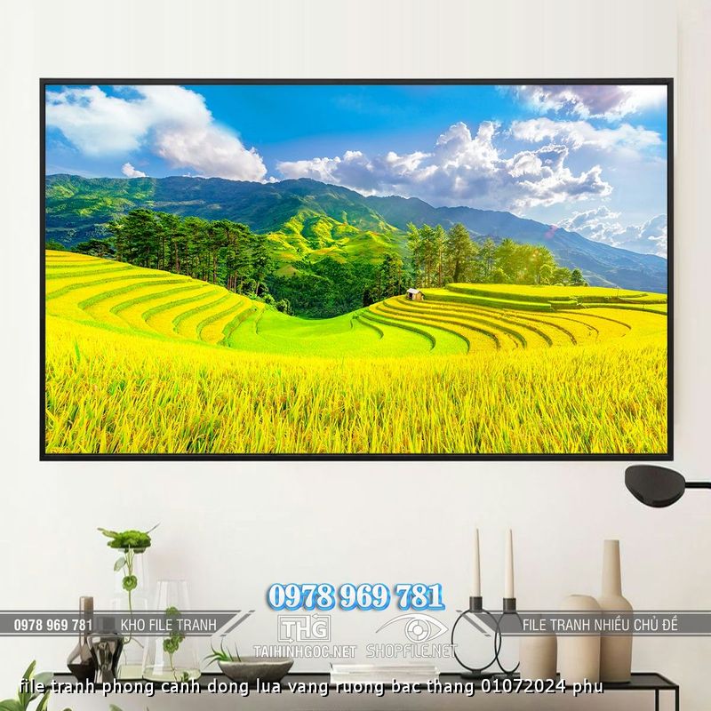 file tranh phong canh dong lua vang ruong bac thang 01072024 phu