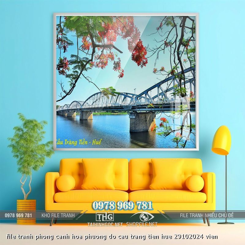 file tranh phong canh hoa phuong do cau trang tien hue 29102024 vien