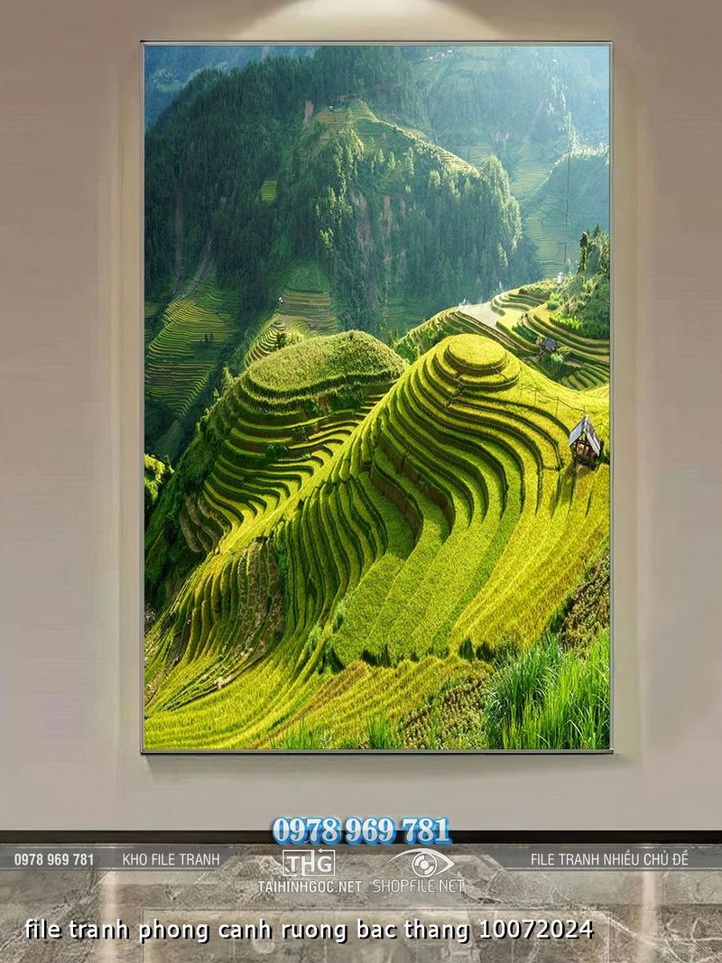 file tranh phong canh ruong bac thang 10072024