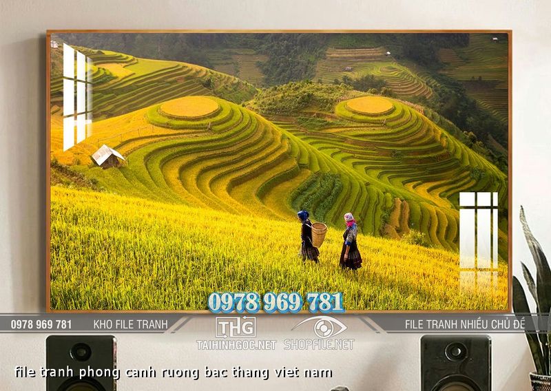 file tranh phong canh ruong bac thang viet nam
