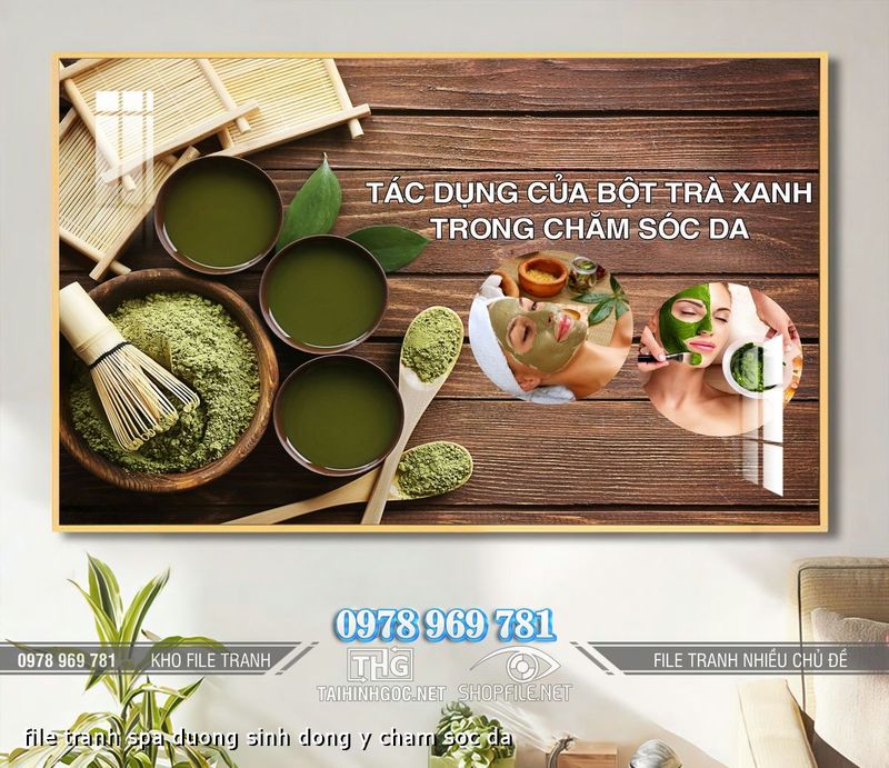 file tranh spa duong sinh dong y cham soc da