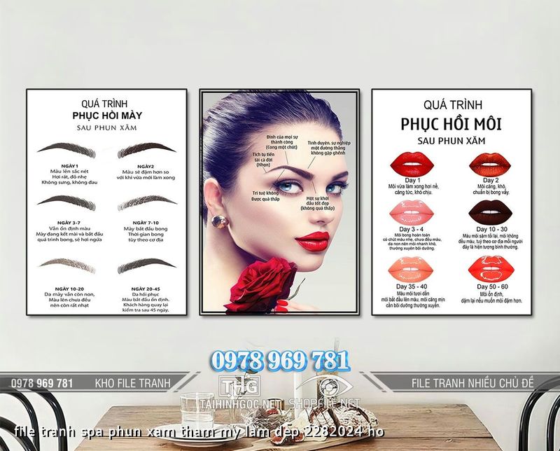 file tranh spa phun xam tham my lam dep 2282024 ho