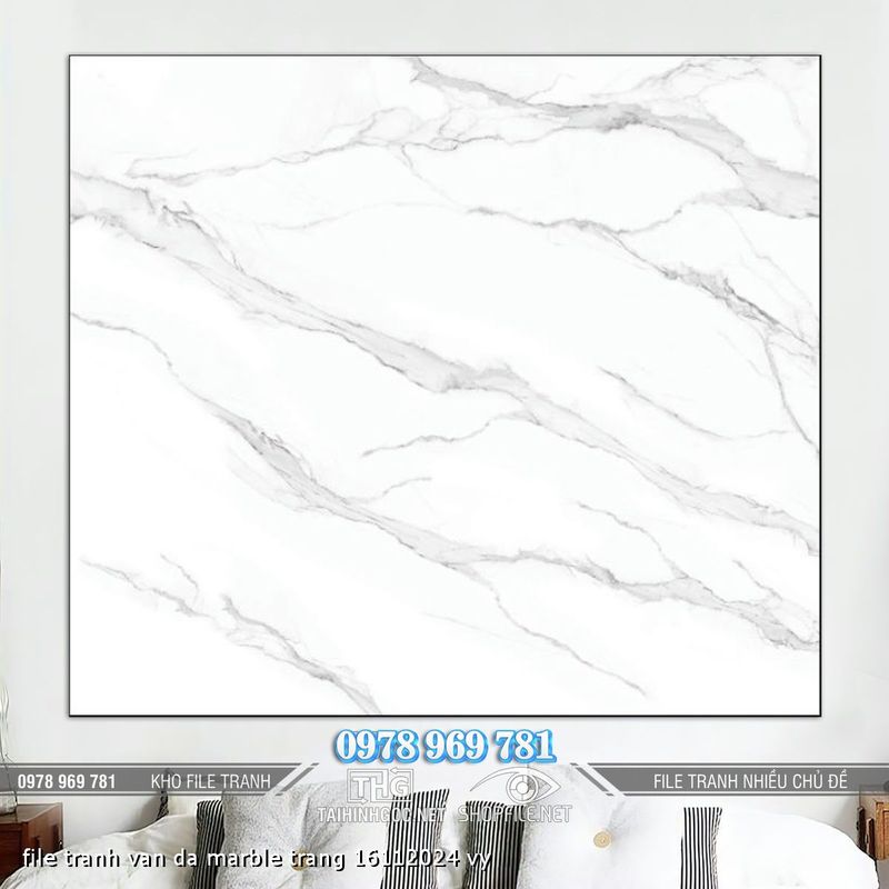 file tranh van da marble trang 16112024 vy