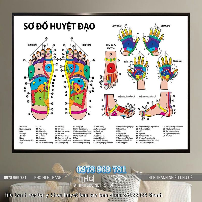 file tranh vector y khoa huyet ban tay ban chan 26122024 thanh