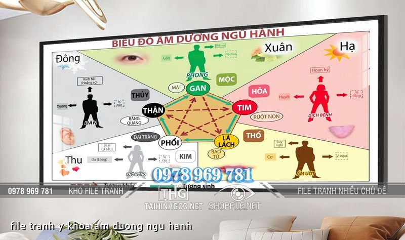file tranh y khoa am duong ngu hanh
