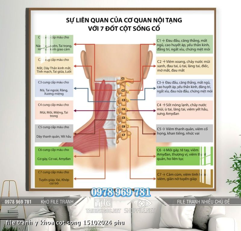 file tranh y khoa cot song 15102024 phu