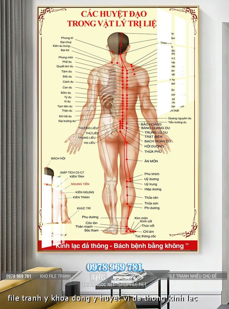 file tranh y khoa dong y huyet vi da thong kinh lac