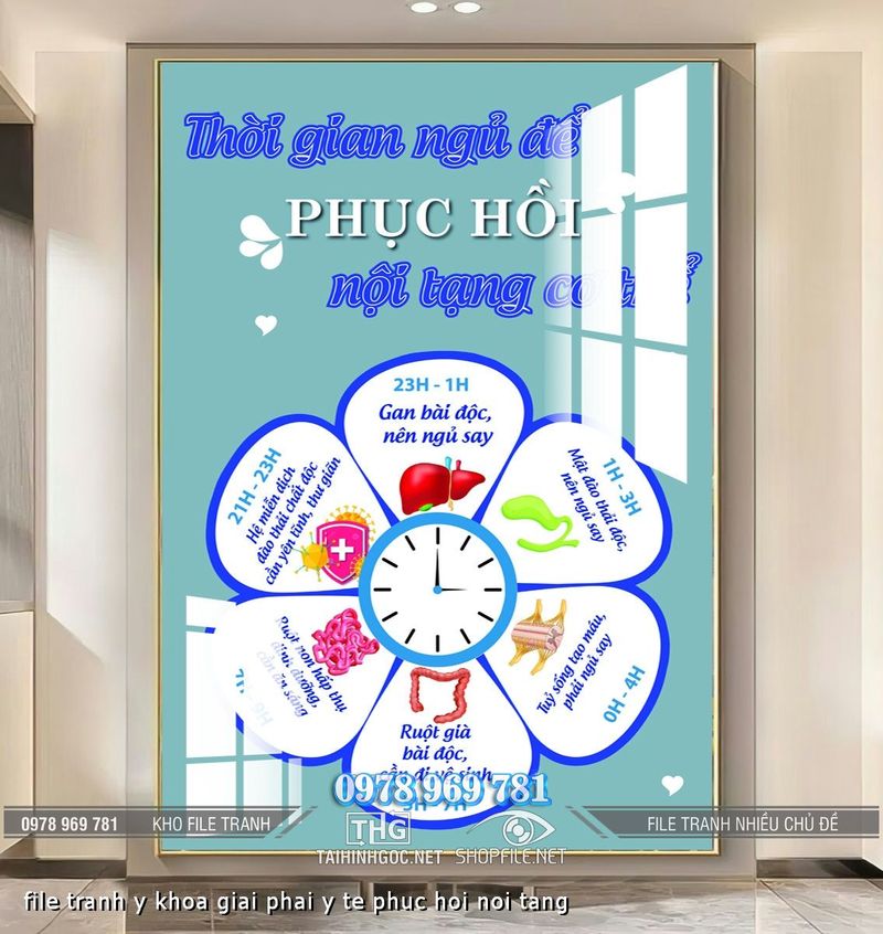 file tranh y khoa giai phai y te phuc hoi noi tang