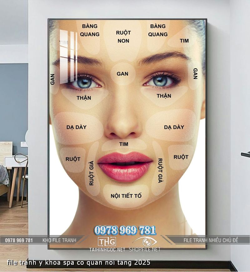 file tranh y khoa spa co quan noi tang 2025