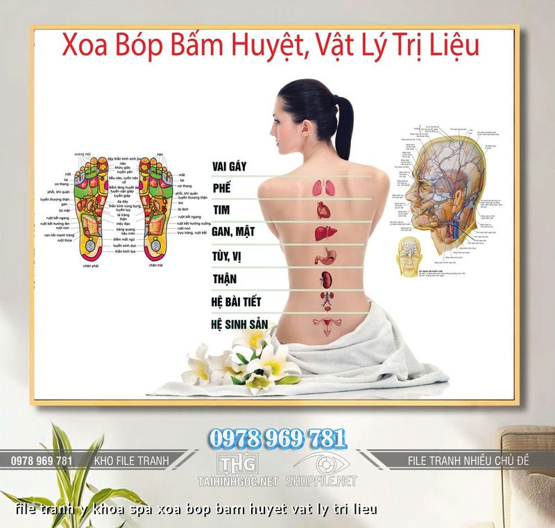 file tranh y khoa spa xoa bop bam huyet vat ly tri lieu
