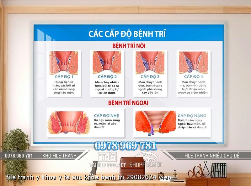 file tranh y khoa y te suc khoe benh tri 29082024 vien