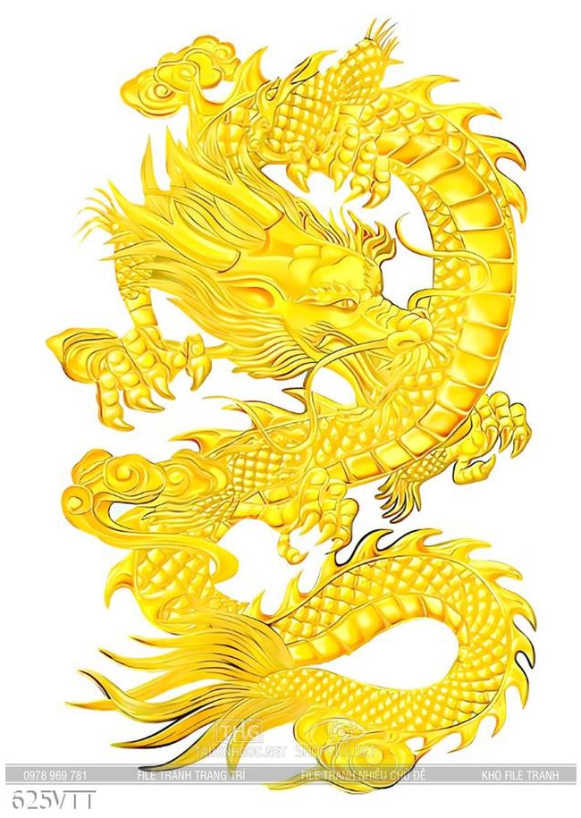 Hình nền Nền Hai Con Rồng Vàng Trung Quốc Trong Một Hình ảnh Nền, Hình ảnh  Con Rồng Trung Quốc, Người Trung Quốc, Rồng Trung Hoa Background Vector để  tải xuống miễn